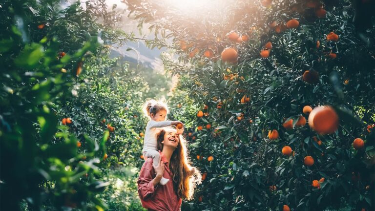 birla ojasvi apartment in rajarajeshwari nagar bangalore gallery image seven